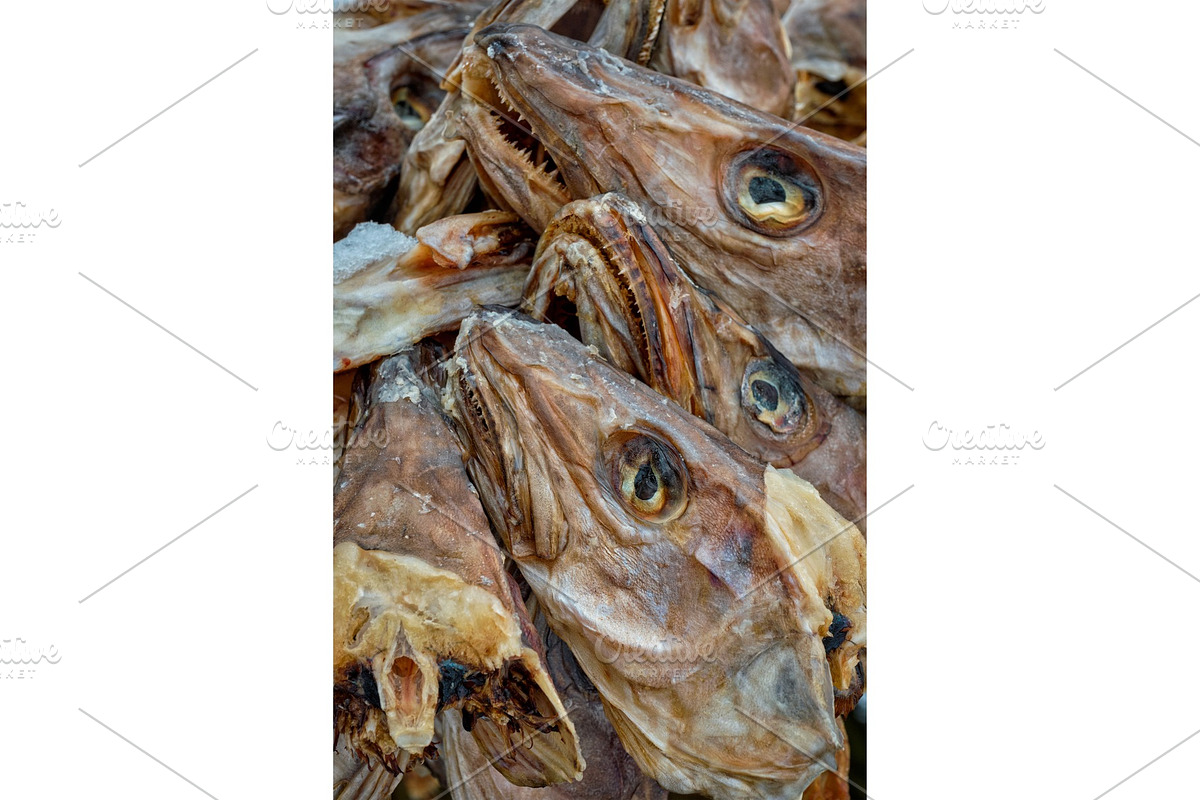 Drying stockfish cod heads in Reine in Graphics - product preview 8