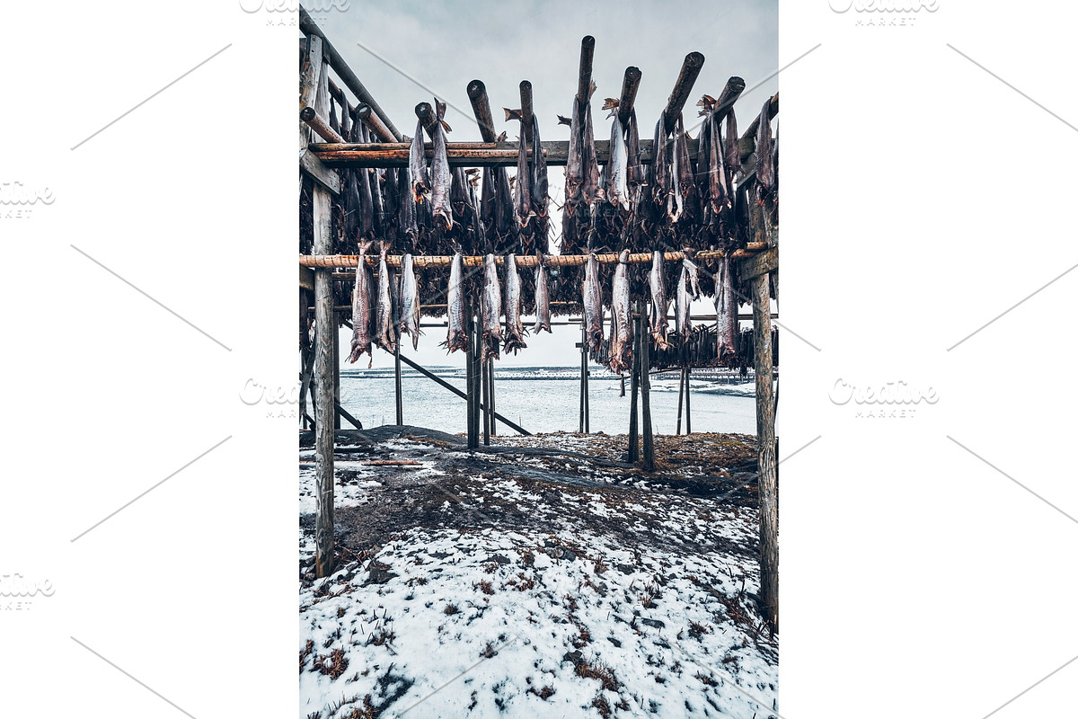 Drying flakes for stockfish cod fish in Graphics - product preview 8