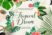 Tropical Dream-watercolor set