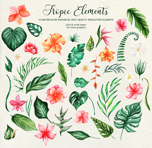 Tropical Dream-watercolor set in Illustrations - product preview 1