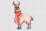 Lama, Alpaca Watercolor png  