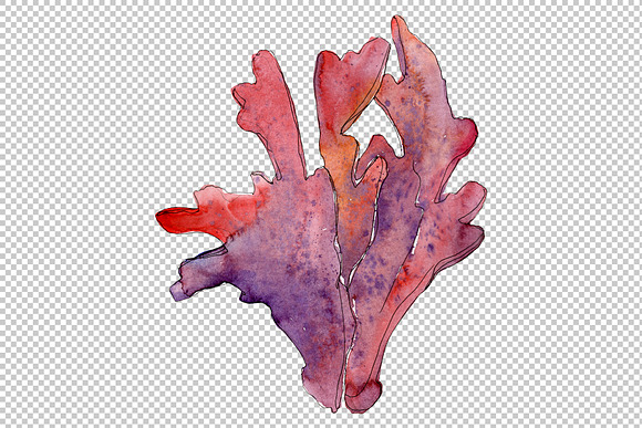 Corals Watercolor png  in Illustrations - product preview 2