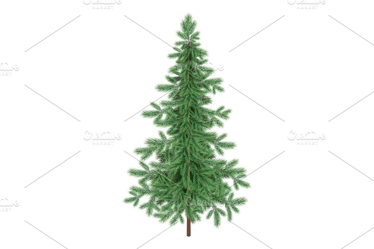 Christmas green spruce fir tree in Objects - product preview 8
