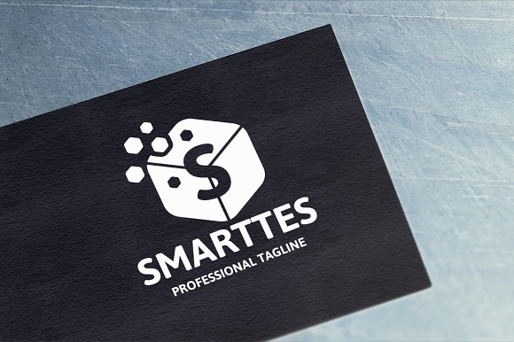 Smarttes S Letter Logo in Logo Templates - product preview 5