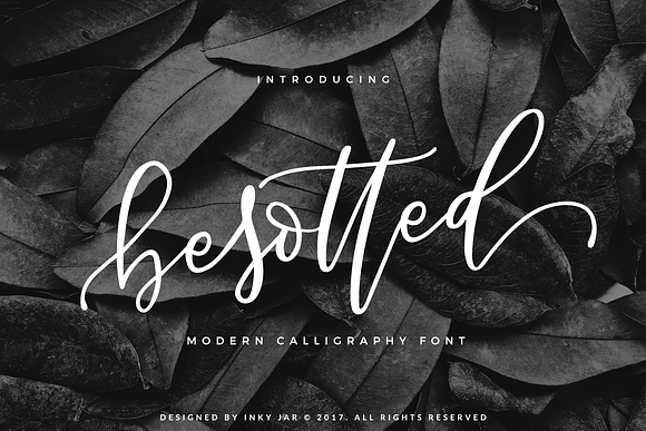 85% off - Bestsellers Bundle in Script Fonts - product preview 6