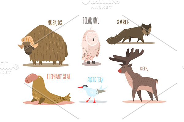 Collection of Arctic animals with