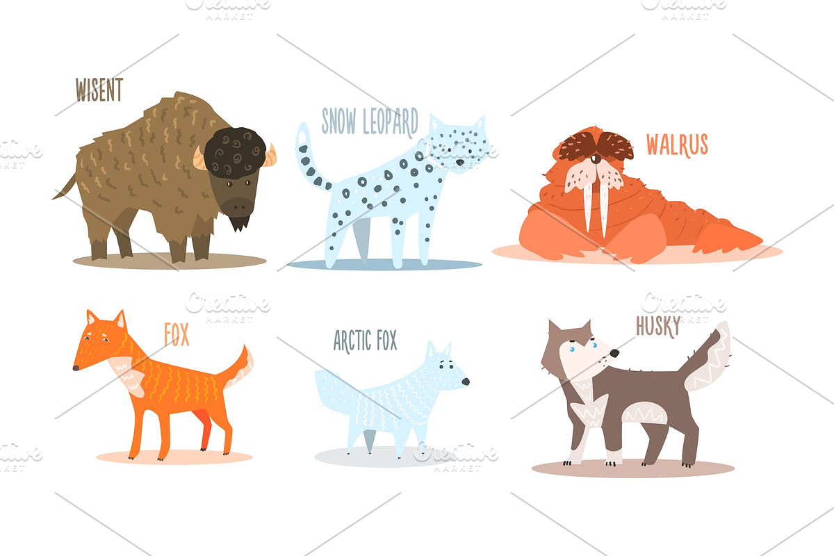 Collection of Arctic animals with in Illustrations - product preview 8