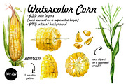 watercolor corn
