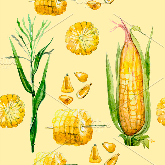 watercolor corn in Illustrations - product preview 1