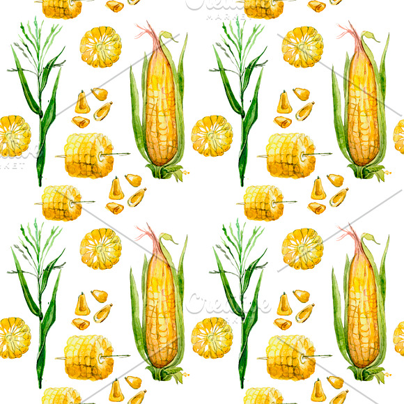 watercolor corn in Illustrations - product preview 2