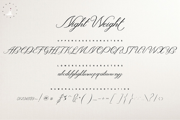 Night Weight Script in Script Fonts - product preview 6
