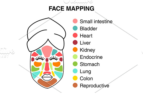 Cute infographic of face mapping