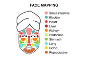 Cute infographic of face mapping