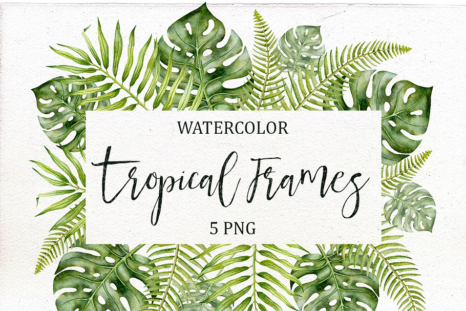 Watercolor Tropical Frames in Illustrations - product preview 8