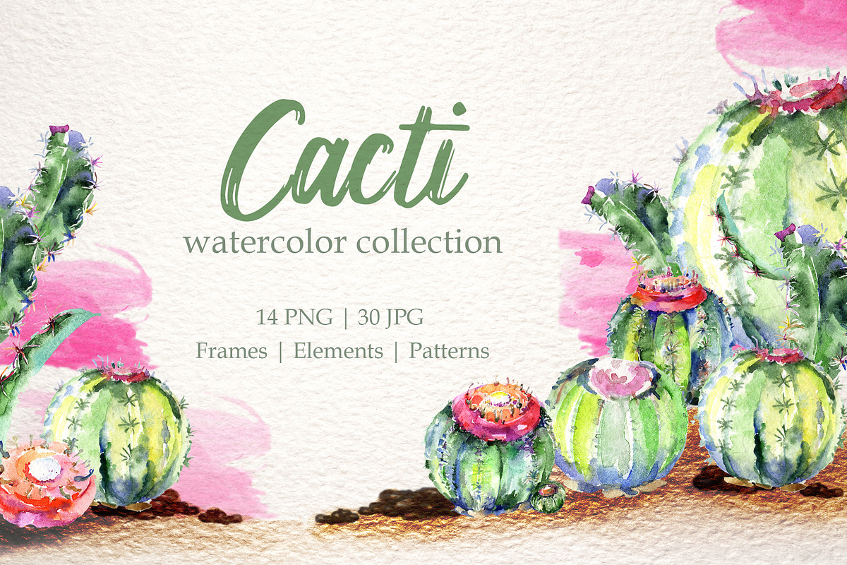 Cacti Watercolor png  in Illustrations - product preview 8