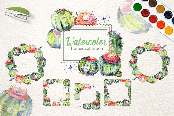 Cacti Watercolor png  in Illustrations - product preview 2