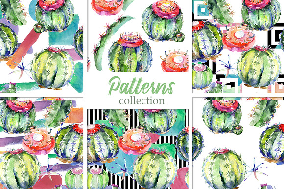 Cacti Watercolor png  in Illustrations - product preview 3