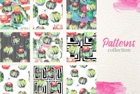 Cacti Watercolor png  in Illustrations - product preview 4