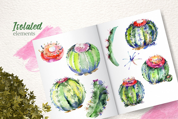 Cacti Watercolor png  in Illustrations - product preview 6