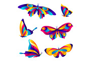 Set of butterflies.