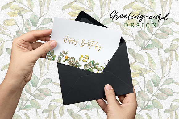 Leaves of acacia Watercolor png in Illustrations - product preview 4