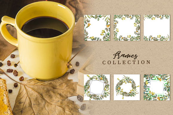 Leaves of acacia Watercolor png in Illustrations - product preview 5