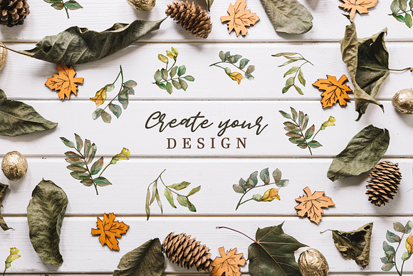 Leaves of acacia Watercolor png in Illustrations - product preview 6