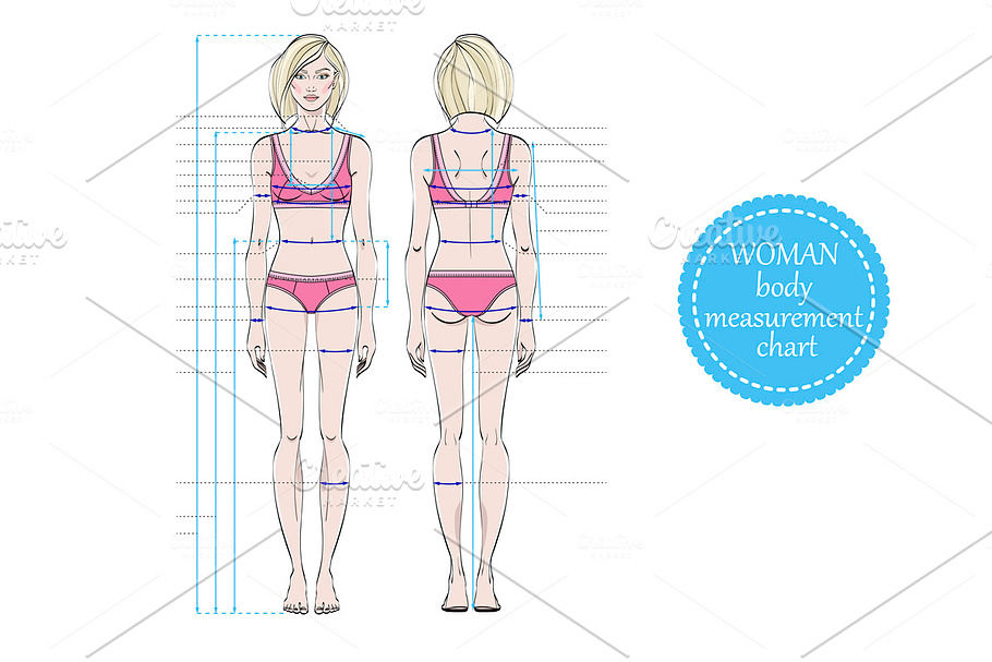 Woman body measurement chart in Illustrations - product preview 8