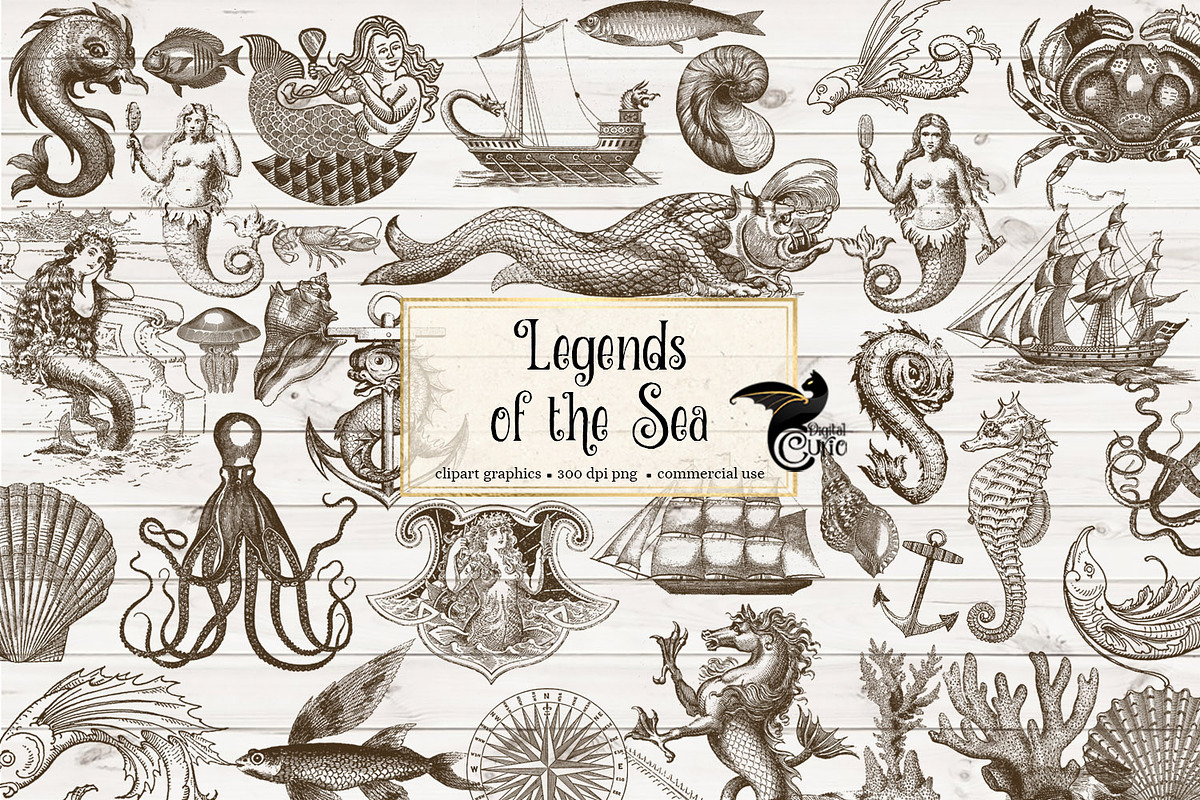 Vintage Ocean Nautical Sea Clipart in Illustrations - product preview 8