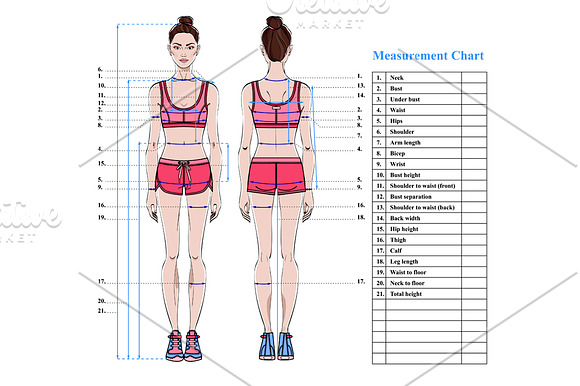 Woman body measurement chart in Illustrations - product preview 1