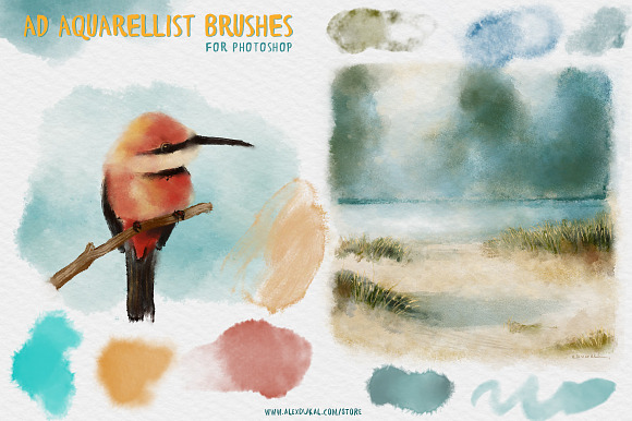 The Aquarellist Brushes (PS CS6+) in Photoshop Brushes - product preview 3