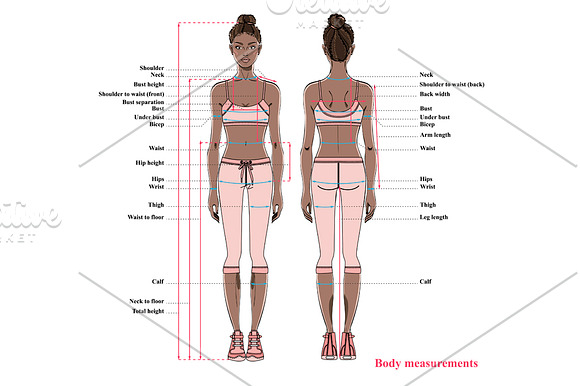 Woman body measurement chart in Illustrations - product preview 2