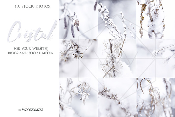 Cristal - Stock Photos in Social Media Templates - product preview 4