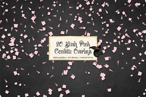 Blush Pink Confetti Overlays in Illustrations - product preview 4