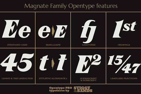 Magnate in Display Fonts - product preview 1