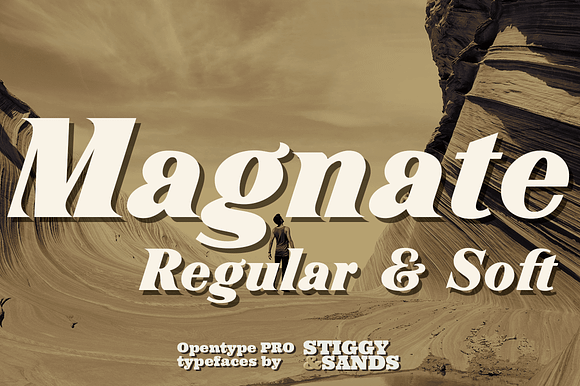 Magnate in Display Fonts - product preview 2