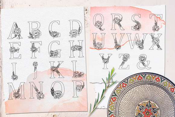 Wonder Bloom Graphic Set & Alphabet in Illustrations - product preview 6