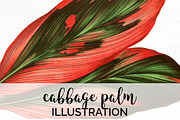 Palm Leaves Cabbage Vintage Leaf