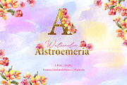 Alstroemeria Watercolor png 