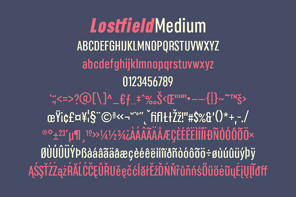 Lostfield Sans Font in Sans-Serif Fonts - product preview 9