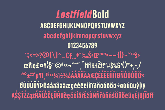 Lostfield Sans Font in Sans-Serif Fonts - product preview 10