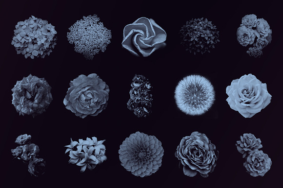 Elegant Floral Brushes for Photoshop in Photoshop Brushes - product preview 2