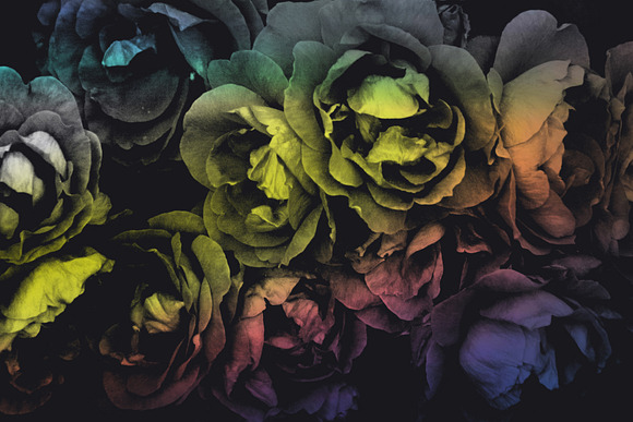 Elegant Floral Brushes for Photoshop in Photoshop Brushes - product preview 5