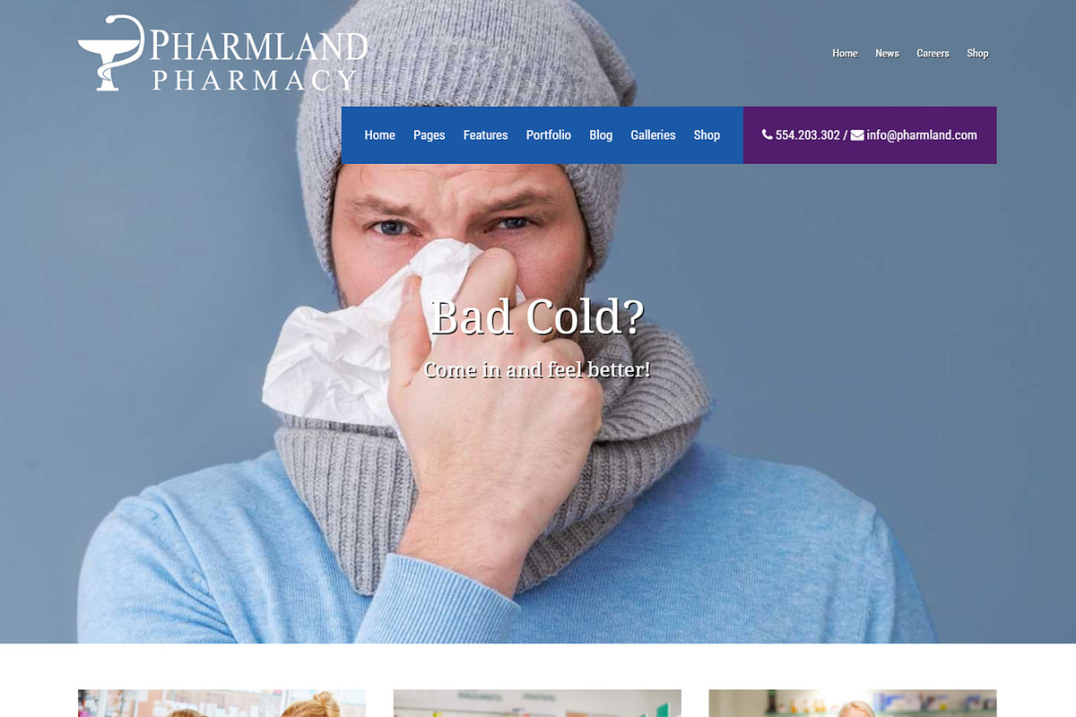 Pharmland - Drugstore WP Theme in WordPress Themes - product preview 8