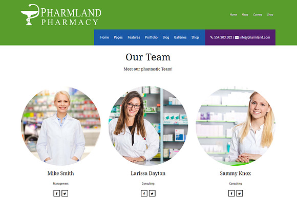 Pharmland - Drugstore WP Theme in WordPress Themes - product preview 3
