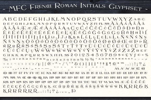 MFC French Roman in Serif Fonts - product preview 3