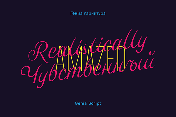 Genia Script Typeface in Script Fonts - product preview 6