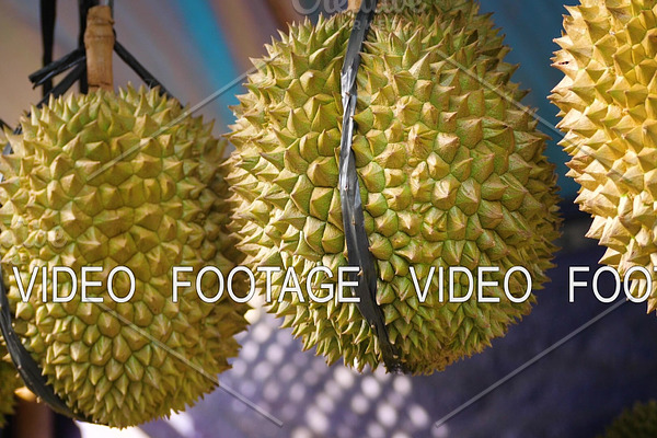 durians in the market