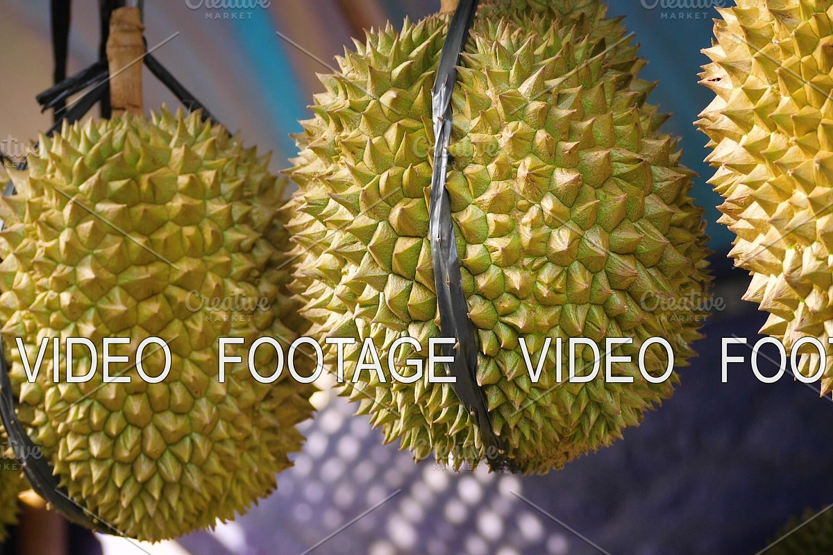 durians in the market in Graphics - product preview 8