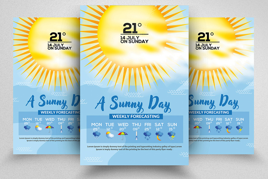Weather Report Flyer Templates in Flyer Templates - product preview 8